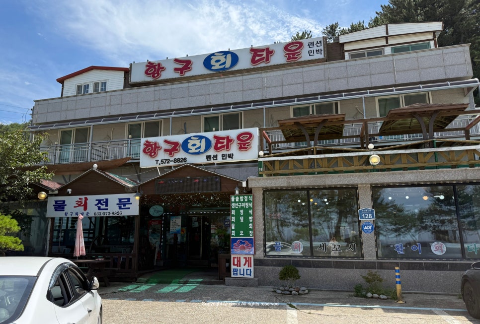 갤러리 사진 19