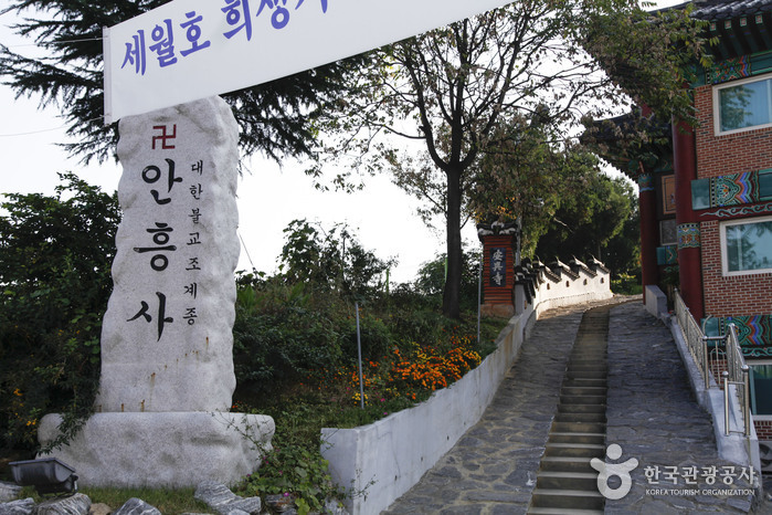 갤러리 사진 15