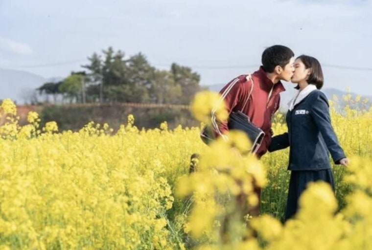 보리나라 학원농장 (유채꽃)