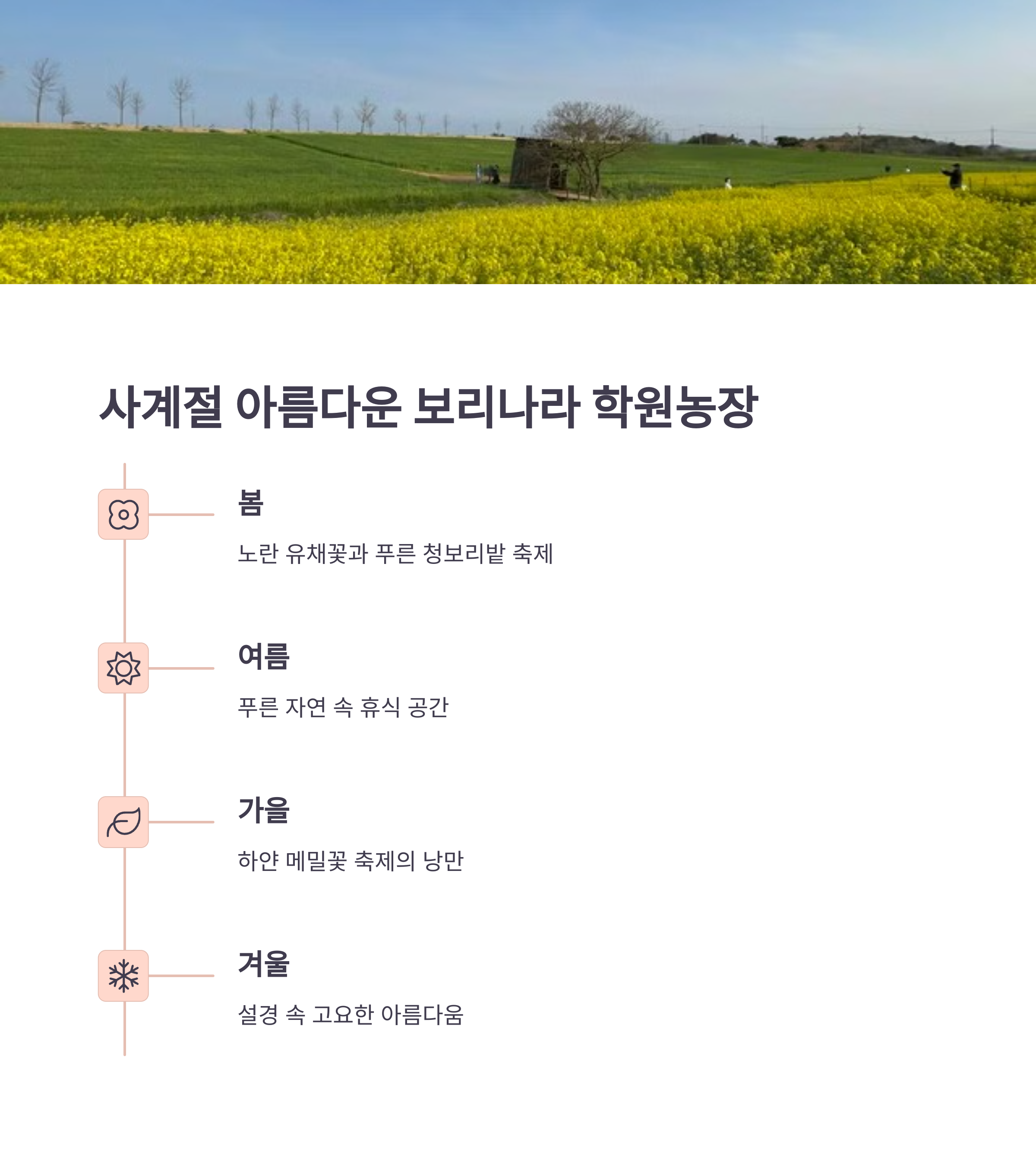 갤러리 사진 13