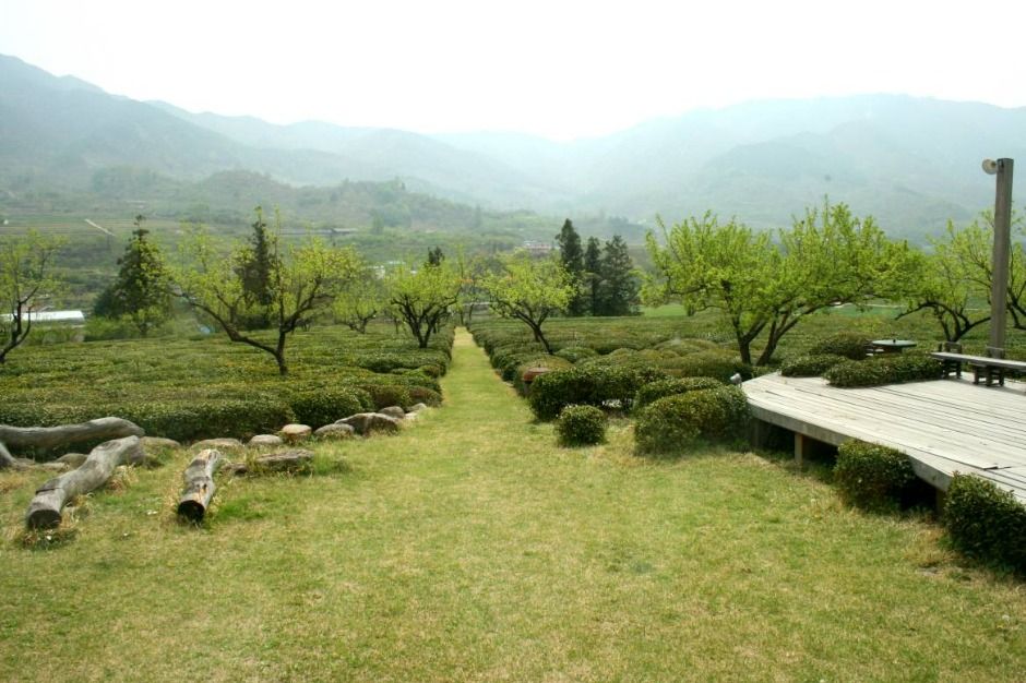 장소 이미지