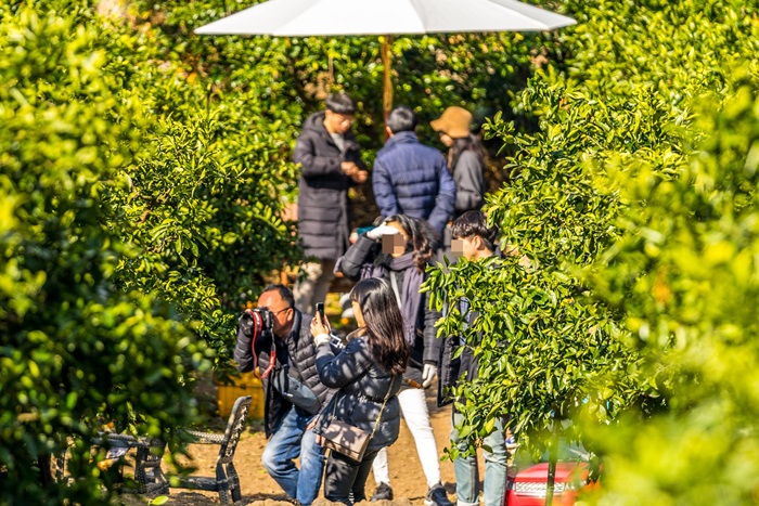 장소 이미지