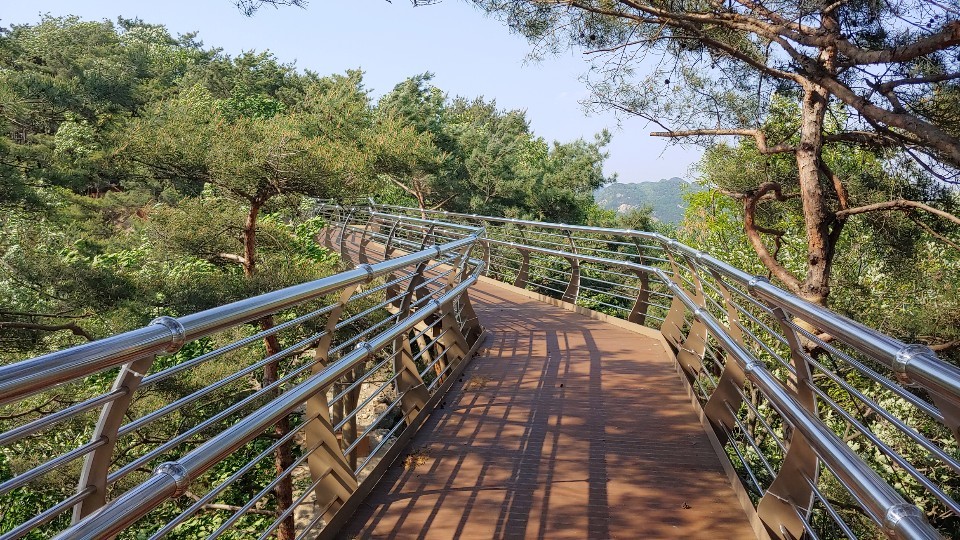 갤러리 사진 49