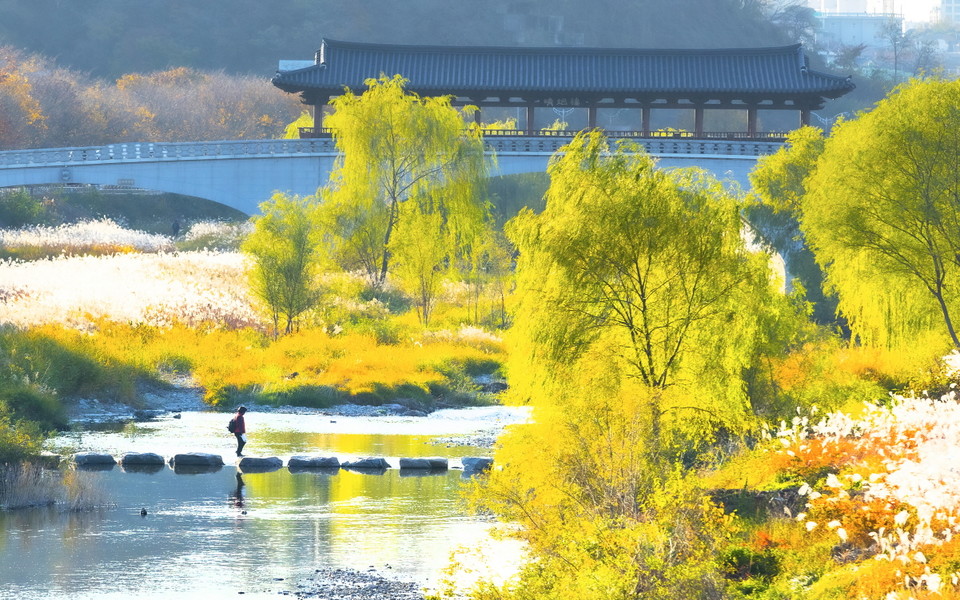 장소 이미지