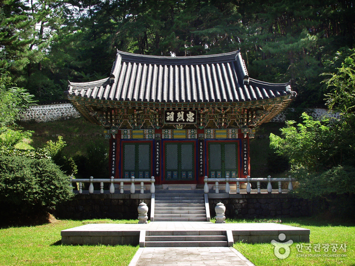 정읍 허브원 라벤다 축제