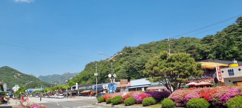 법주사 오리숲길