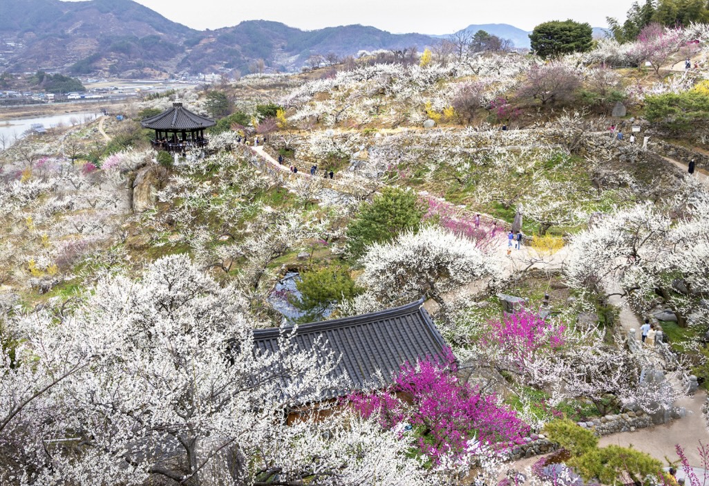 장소 이미지