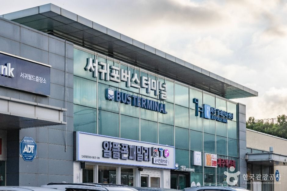 갤러리 사진 57