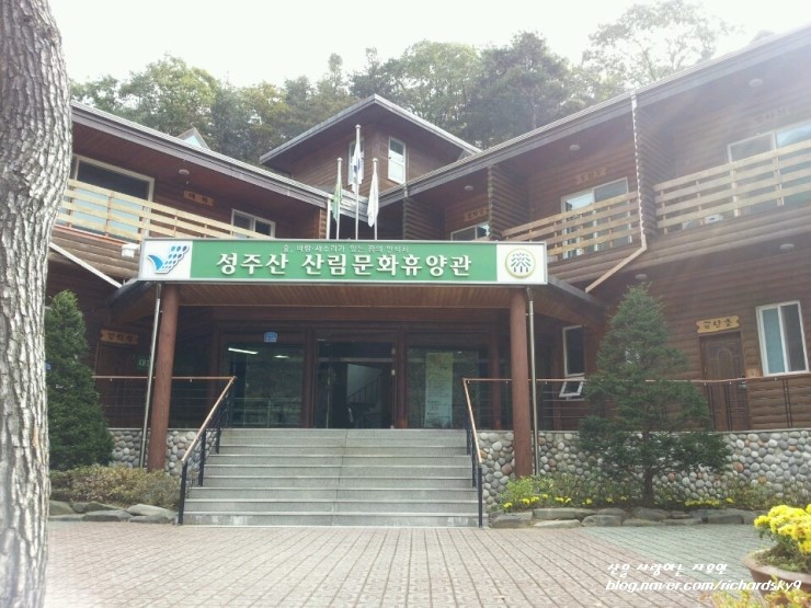 갤러리 사진 7