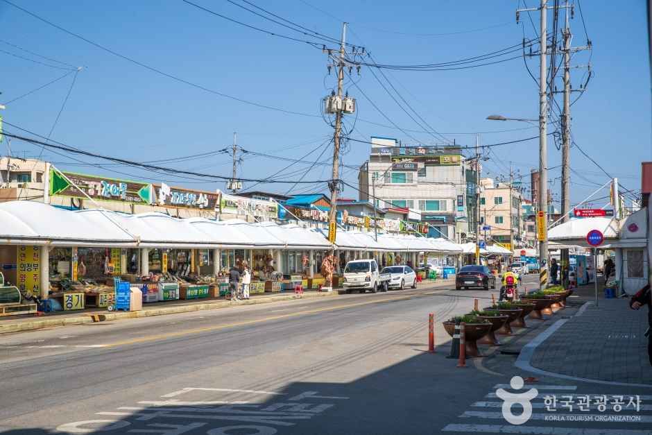갤러리 사진 25