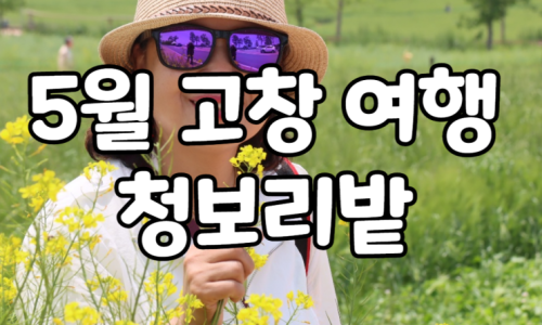 장소 이미지
