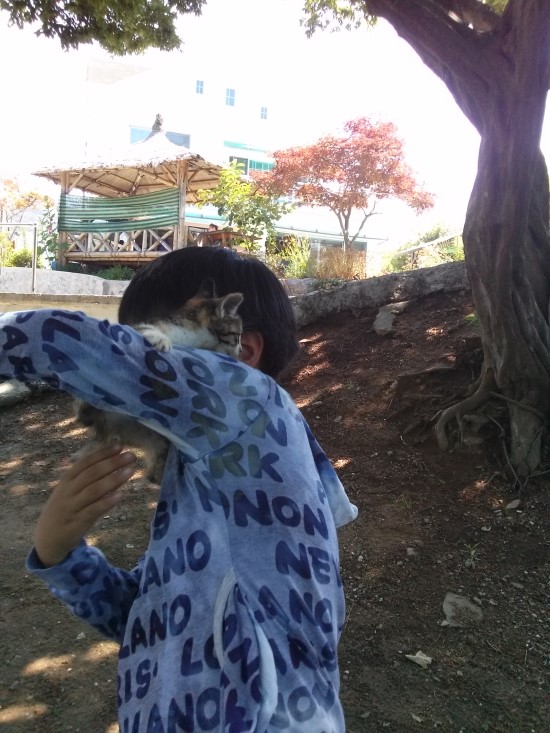 장소 이미지