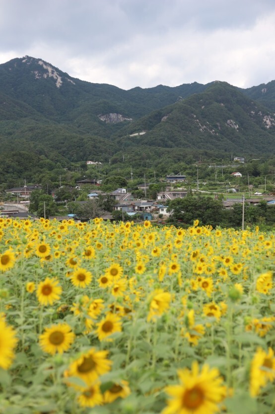 장소 이미지