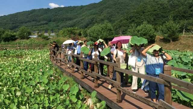 갤러리 사진 8