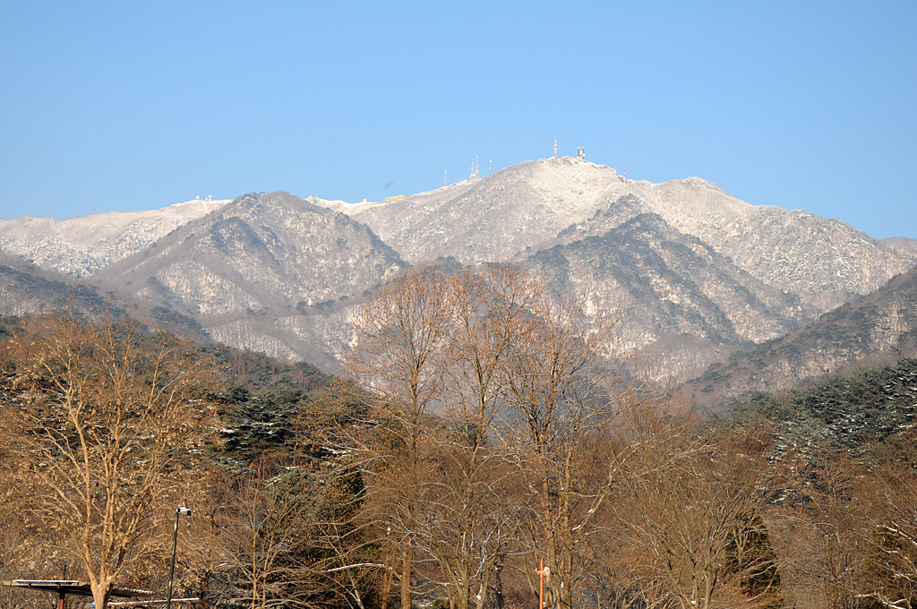 용문사(용문산)