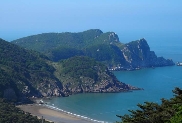 갤러리 사진 2