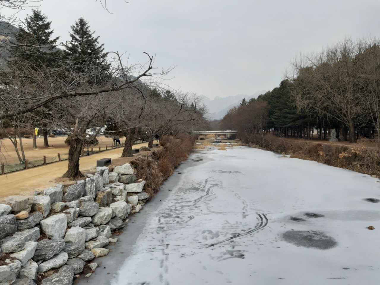 법주사 오리숲길