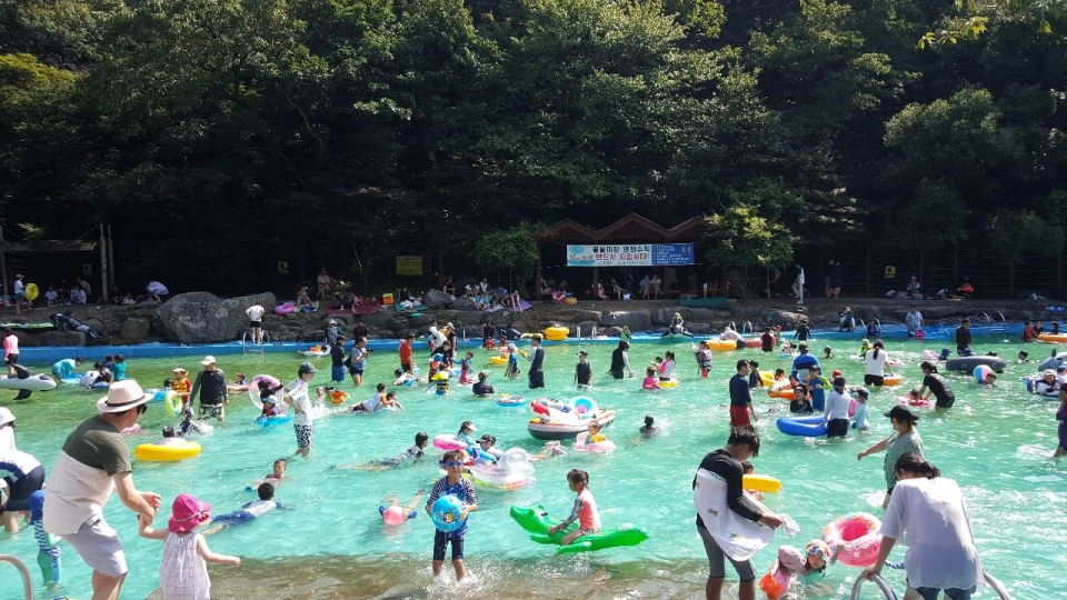 갤러리 사진 5