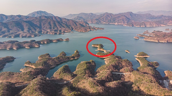 악어봉