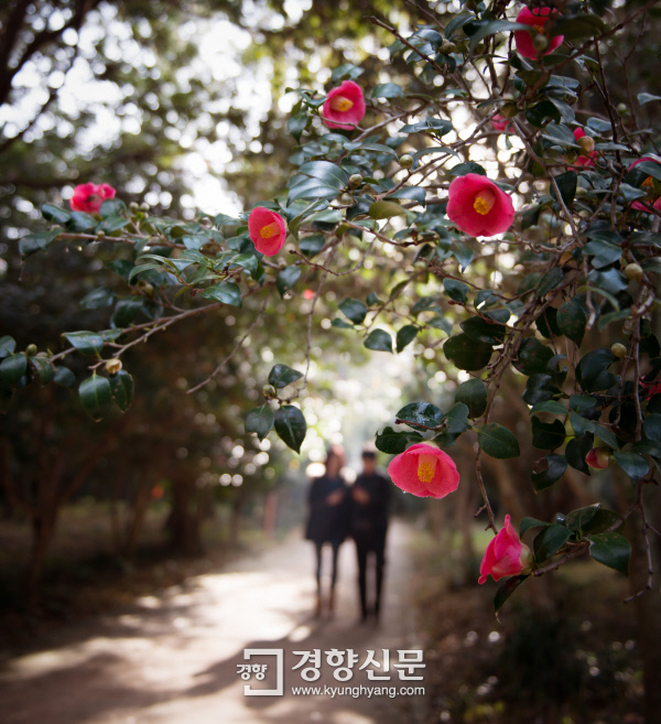 장소 이미지