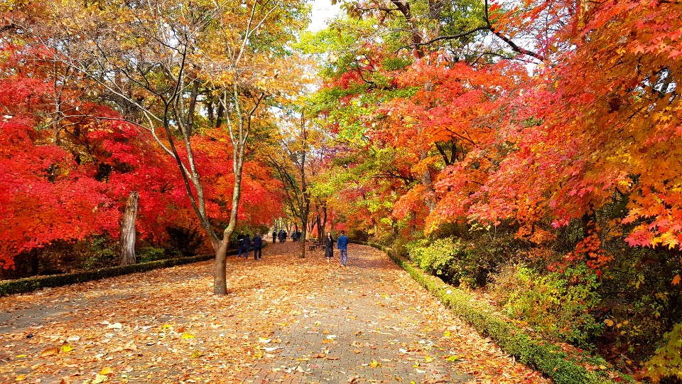 포천 국립수목원