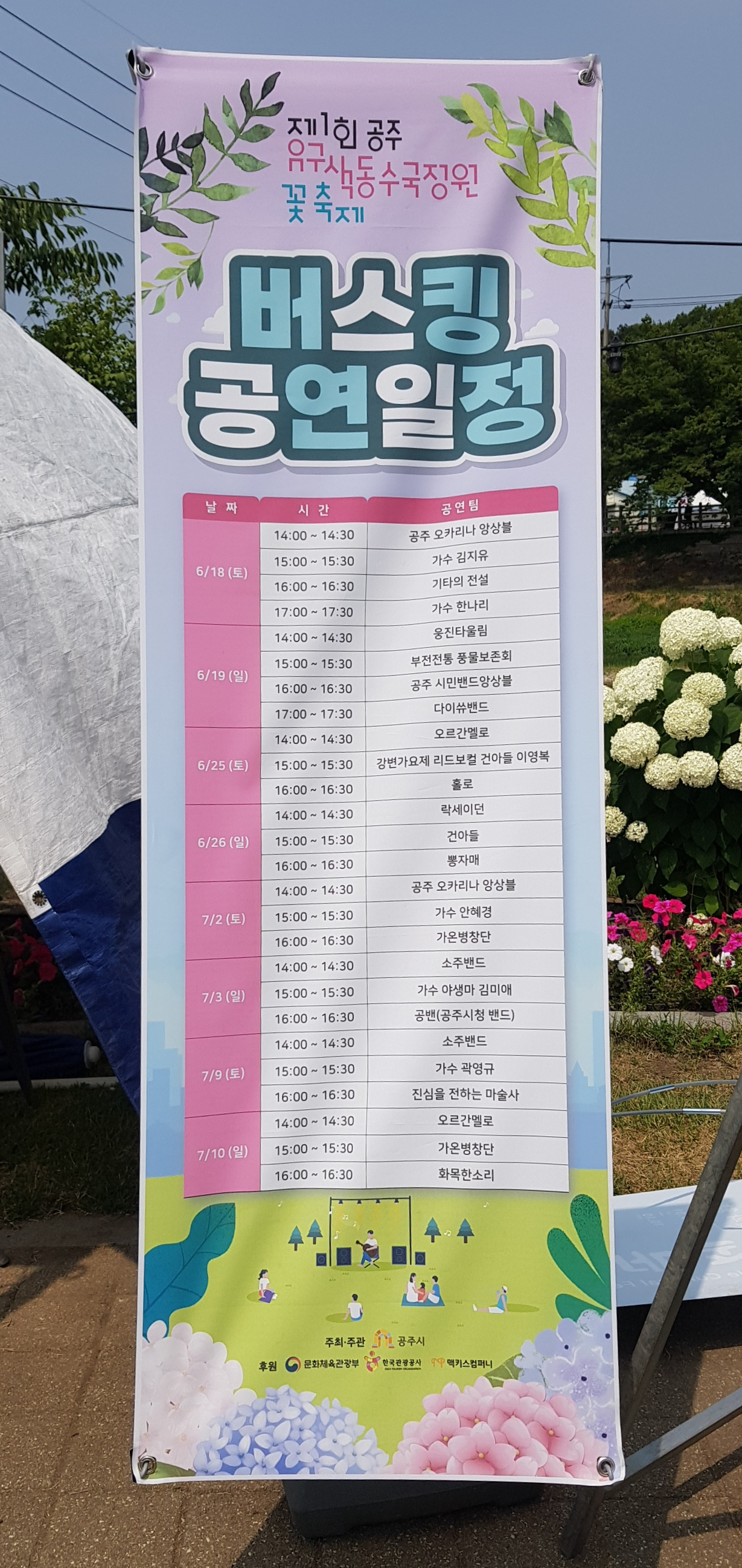 유구 색동수국정원 꽃축제