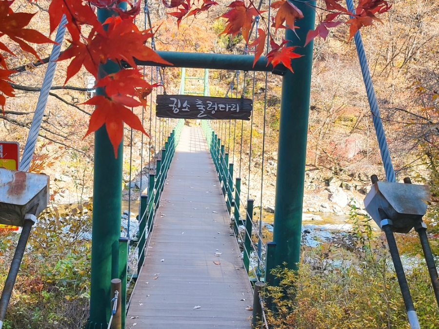 장소 이미지