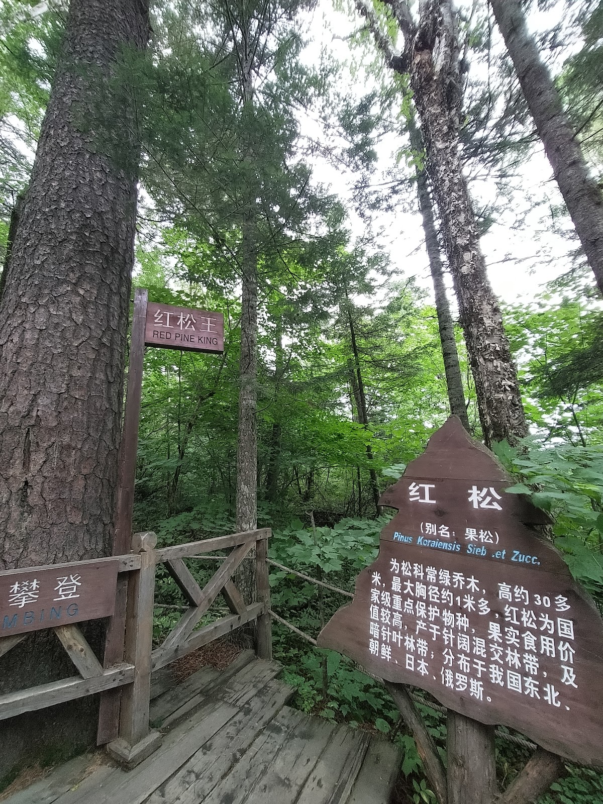 금강대협곡