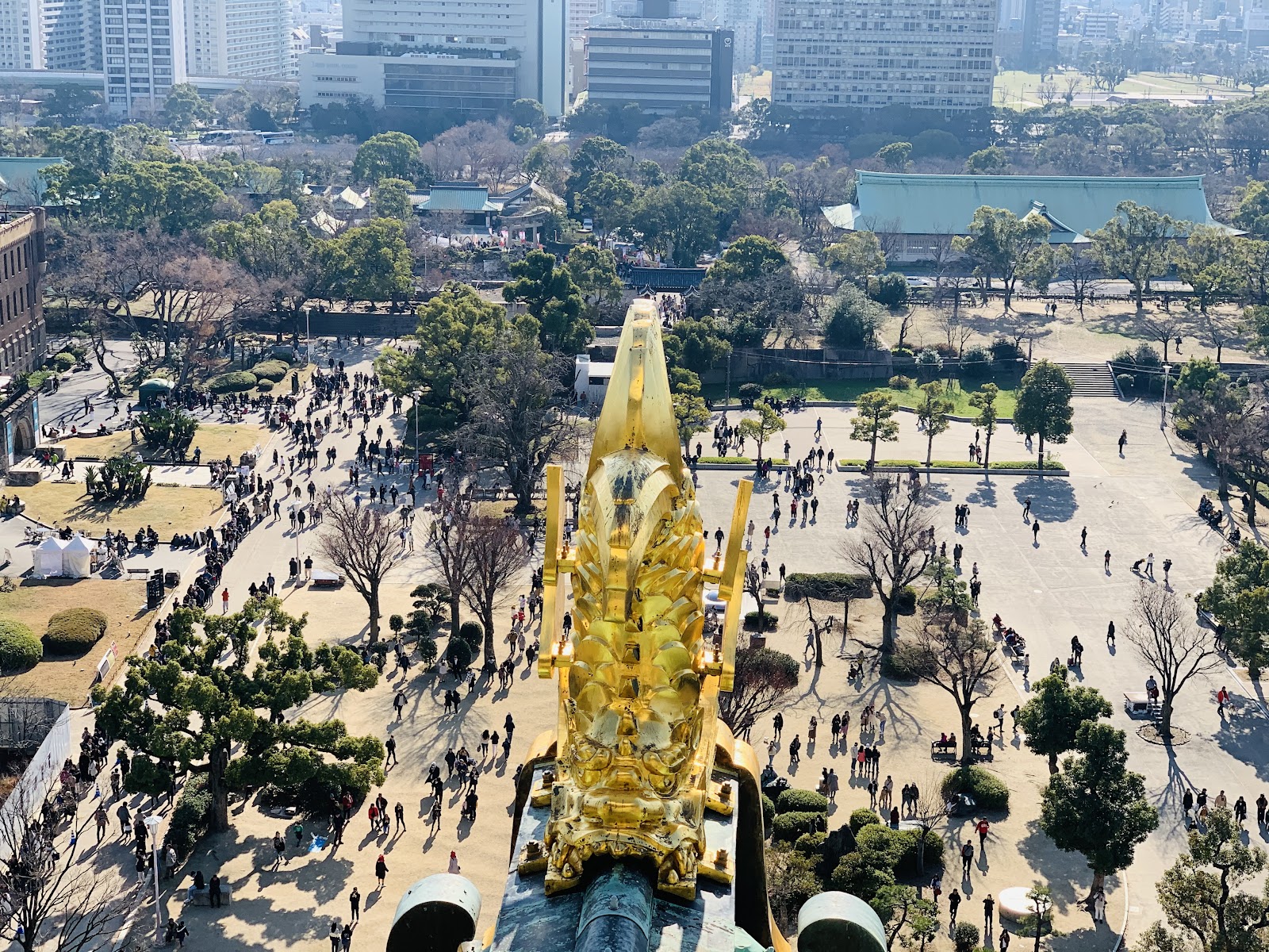 갤러리 사진 33