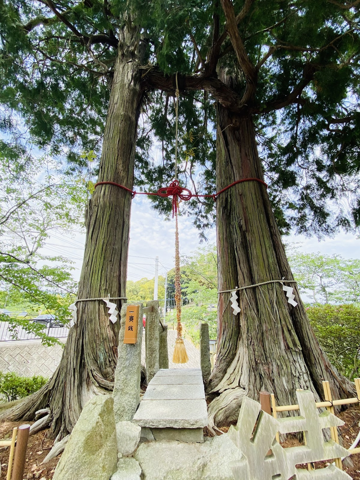 갤러리 사진 7